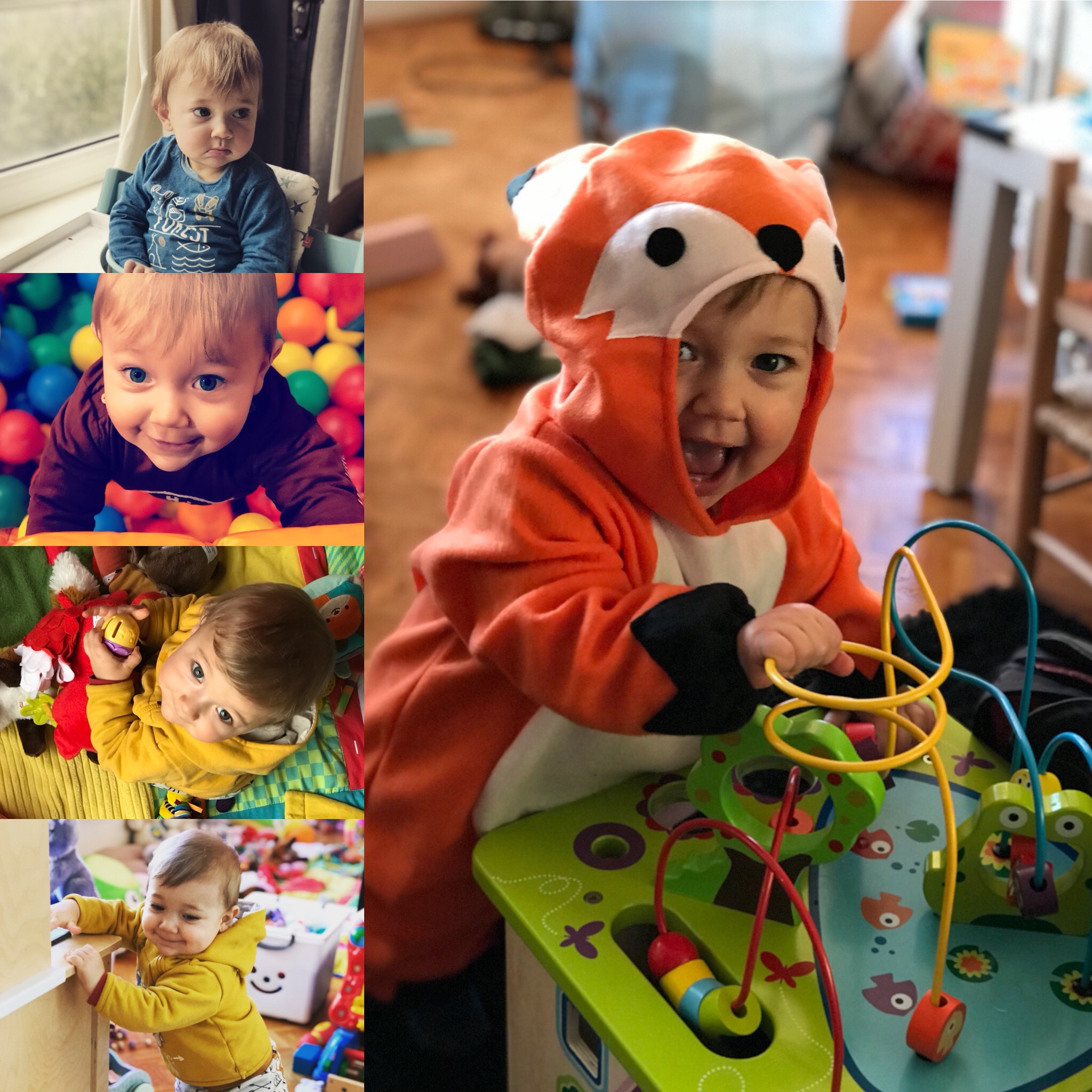 11 Mois De Lui Un Bebe Ca Change La Vie 11 Mois De Lui Un Bebe Ca Change La Vie